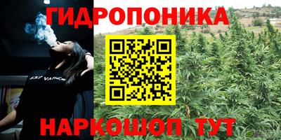 круглые Пушкино